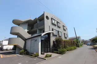 ブロッサム柿木の画像