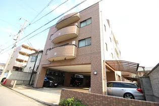 ステラ アークの画像