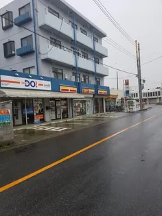 ワシミヤビルの画像