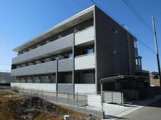 SOYBEANSの画像