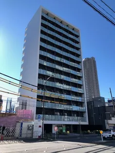 アルテシモコルソの画像