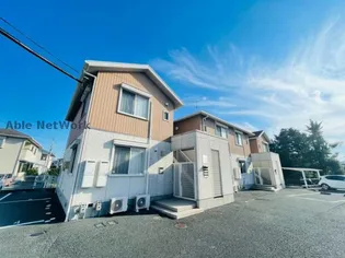スプリング ローズの画像