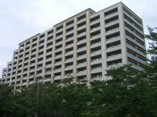 ザ リバープレイス リバーコートの画像