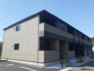 アイリス パディの画像