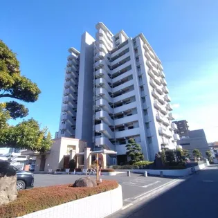 パティオタワー大宮【7階】の外観