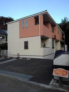 プラシードの画像