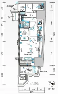 メインステージ横濱弥生町【8階】の間取り