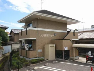 エクセラン1の画像
