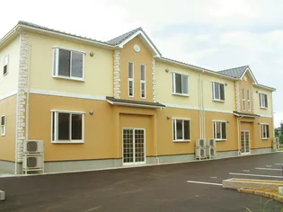 ニューカラーパインの画像