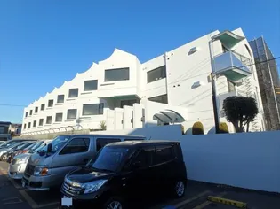 プレミアわらびの画像