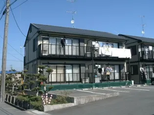 シェモアCの画像