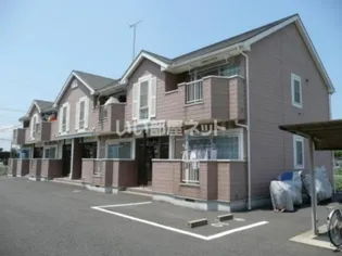 モルティの画像