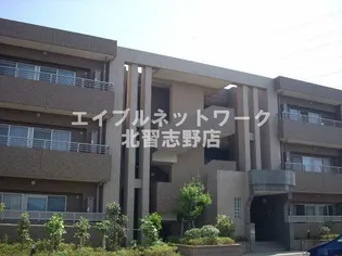 COZY緑が丘A棟の画像