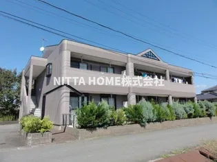 ロワールコートの画像