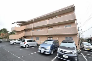 パレスコスモス【2階】の外観