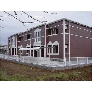 オーキッド すぎさわの画像