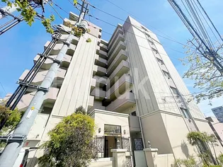 岡山県岡山市北区清輝橋1【マンション】の外観