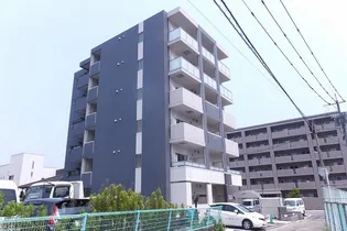 アンゼリカの画像