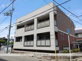 アンジュリナの画像