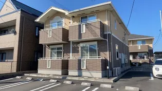 プラシードM Sの画像