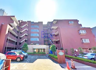 ノーサイドの画像