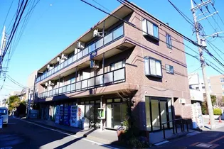 レスポアール シルクの画像