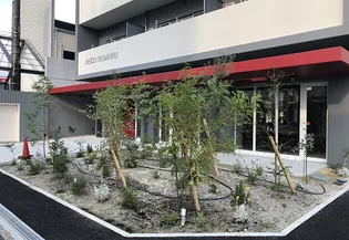 NECO SUMUSUの画像