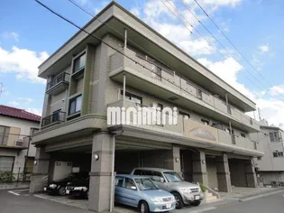 アネーロの画像