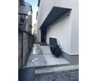 シャノンの画像