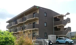 MOLTO LIBEROの画像