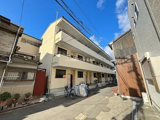 ドリーム錦の画像