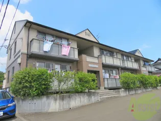 DIAS FONTANAの画像