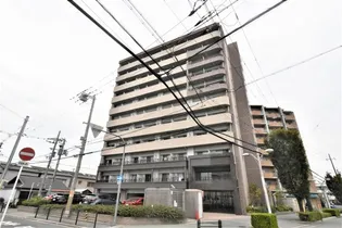 スプランディッドⅠの画像