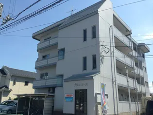 プリムローズの画像