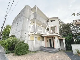 カサブランカNの画像