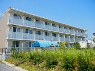 愛知県豊田市浄水町伊保原【マンション】の外観