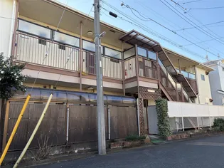 ブラウンベレーの画像