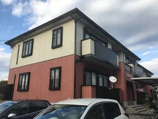 プリムローズ Bの画像