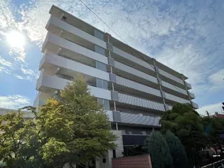 ALLIES MEADOWの画像