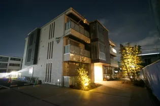 OLD TREE 1STの画像