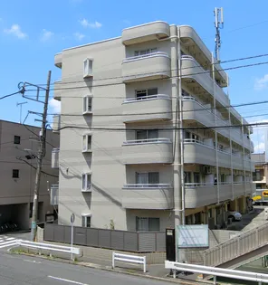 エバーエクセレンスの画像