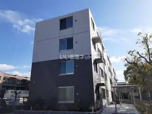 トミー コンフォートの画像