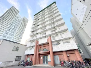 ドミローレル第8の画像