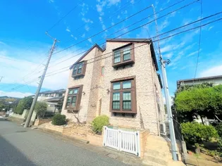 バニービーチの画像