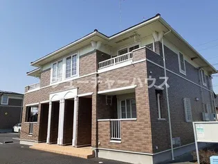 サニープラシードAの画像