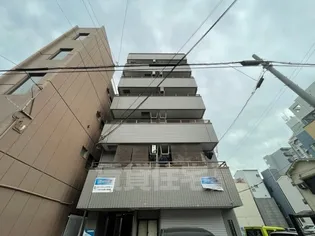 ラムサール8Tの画像