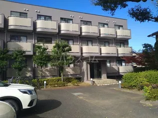 カンファーコートの画像