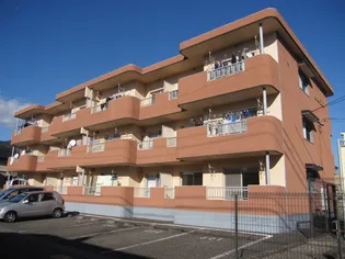 ボヌールの画像