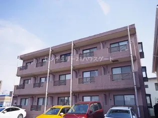 ライトメロウの画像