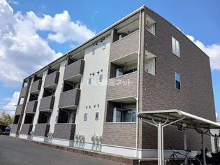 グラシアスの画像